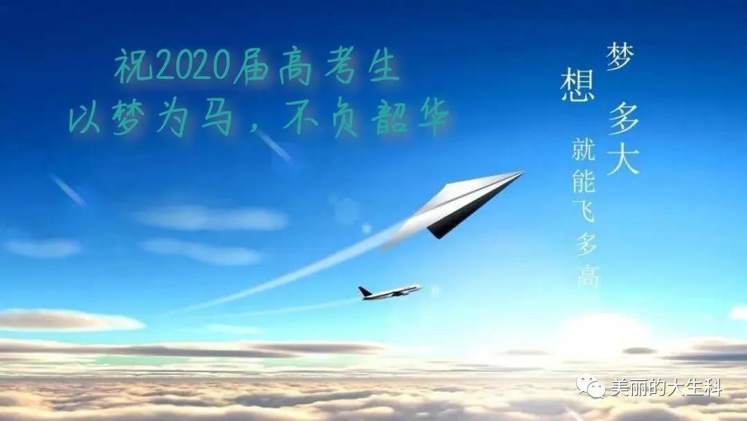 C6B0