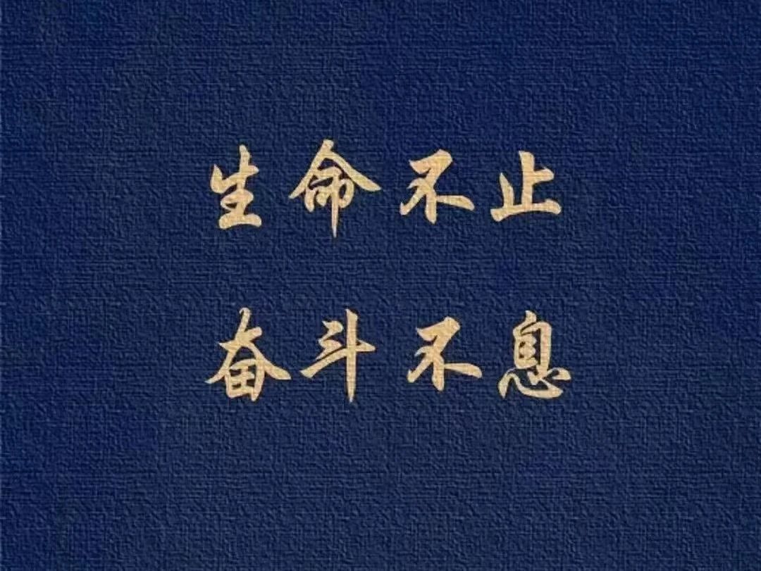 24507