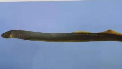1A24